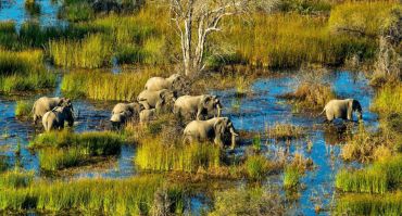 assets/images/6-days-chobe-wildlife-okavango-delta.jpg