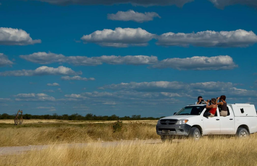Etosha Game Drive