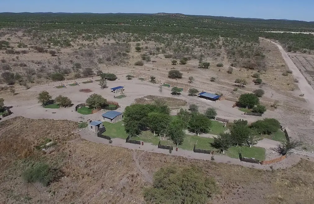 Etosha National Park Attractions