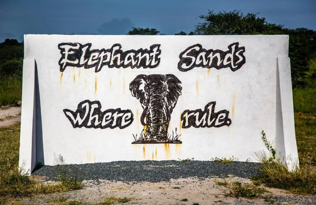 Elephant Sands