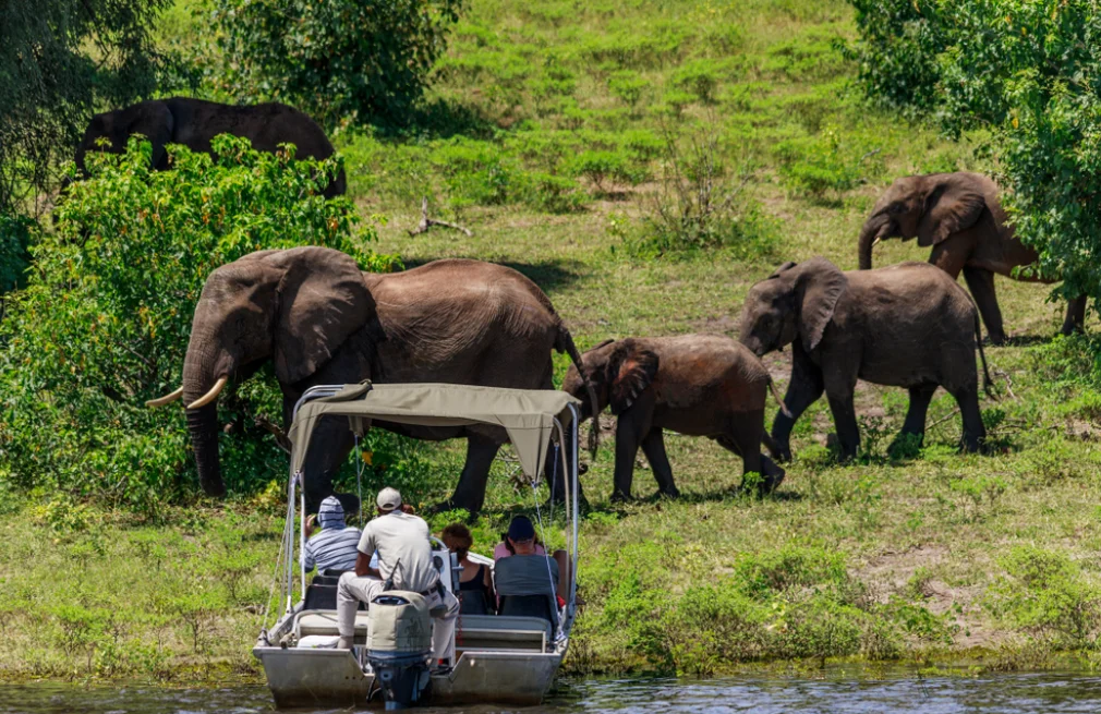 Chobe National Park Attractions