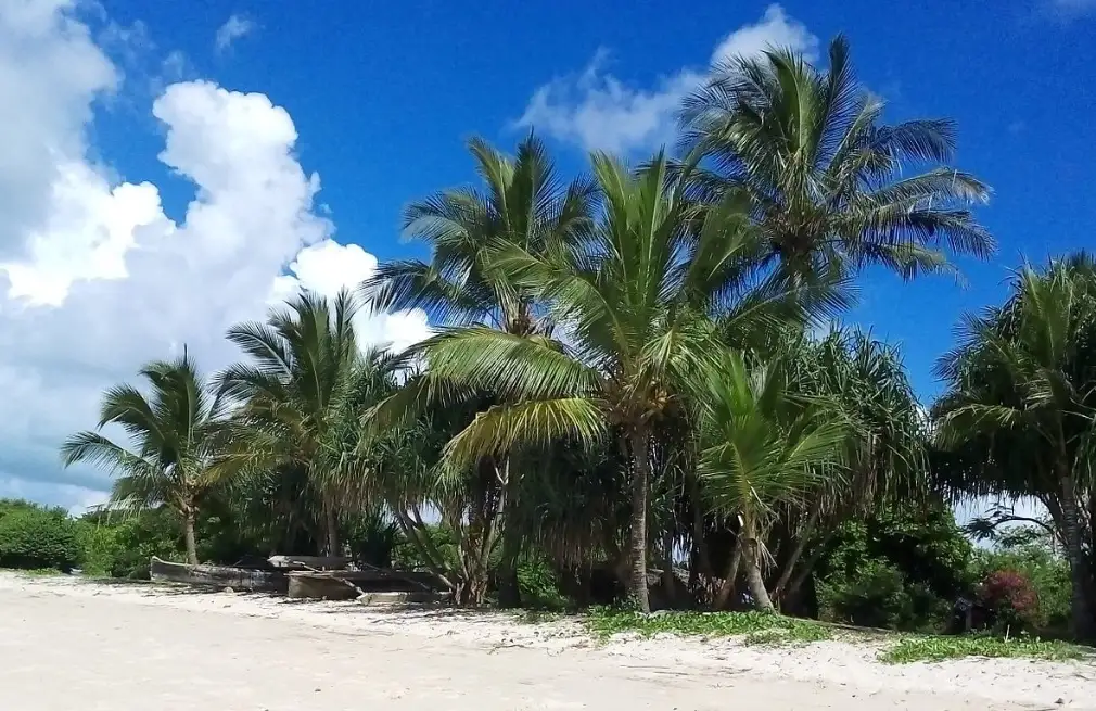 Beach Relaxation