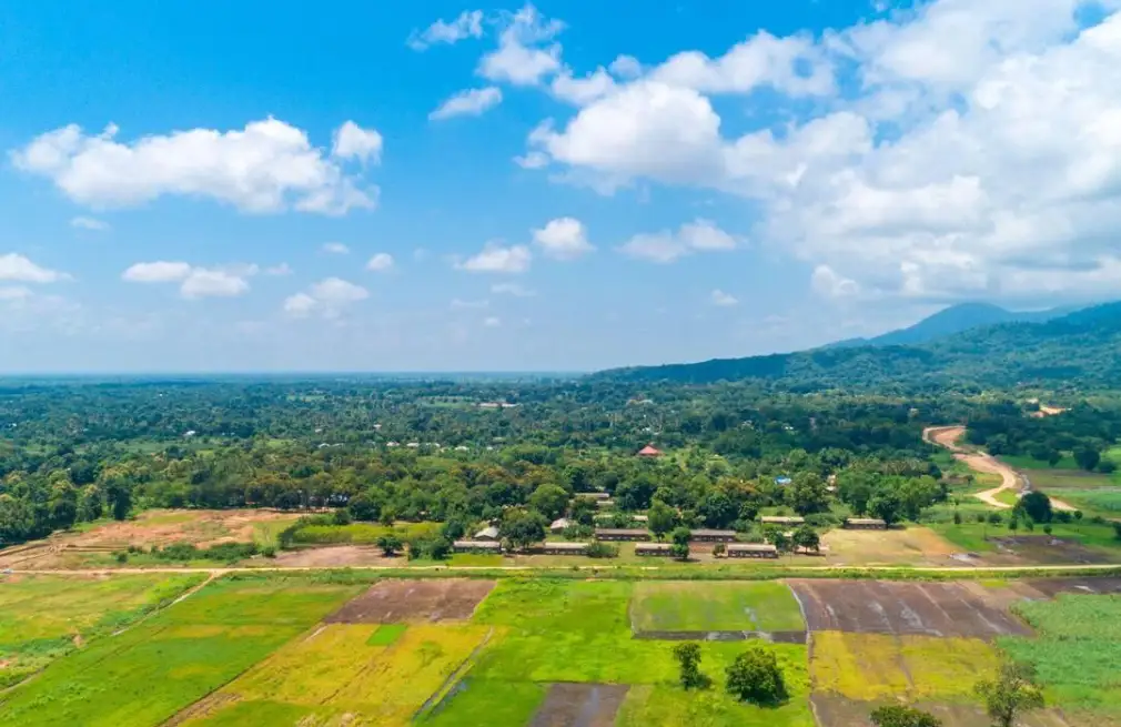 Morogoro