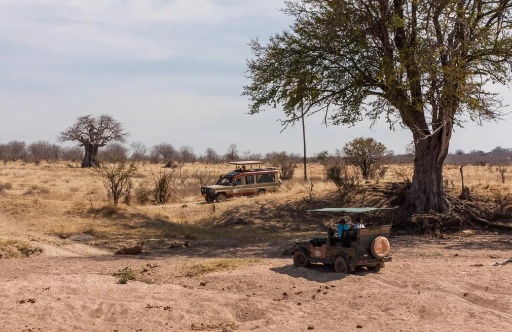 Game Drive