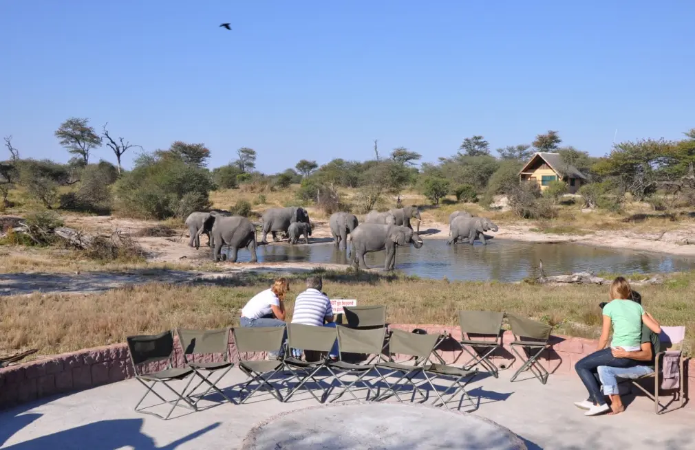 Elephant Sands Wildlife