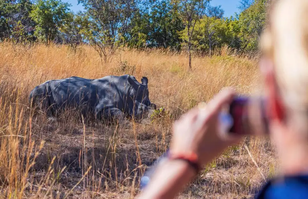 Rhino Trekking