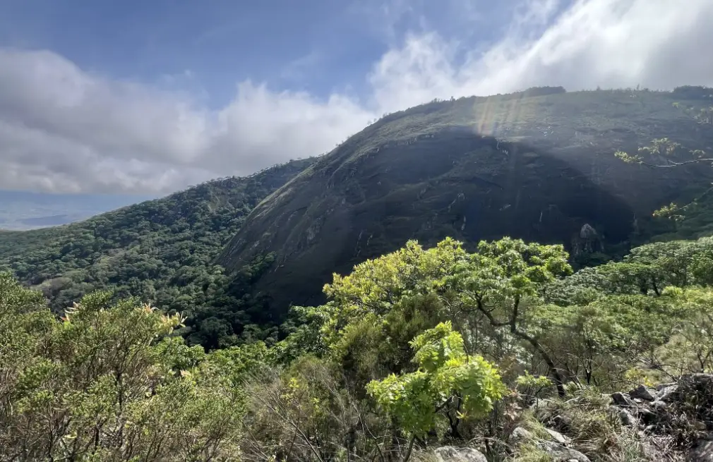 Vumba Mountains