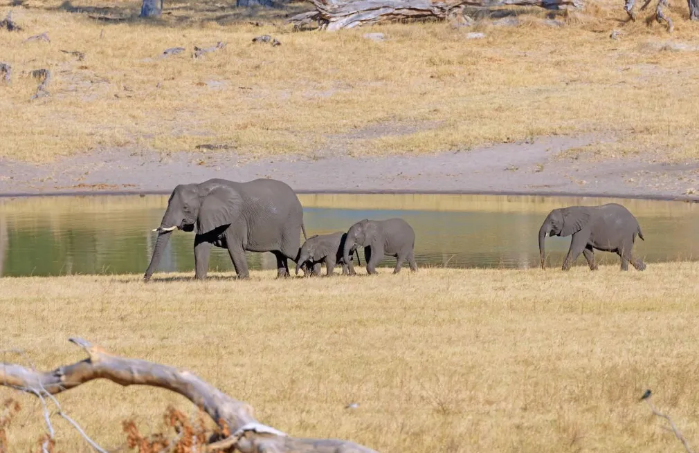 Zimbabwe Tour Attractions