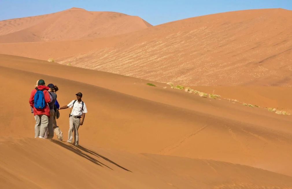Sossusvlei Sand Dunes