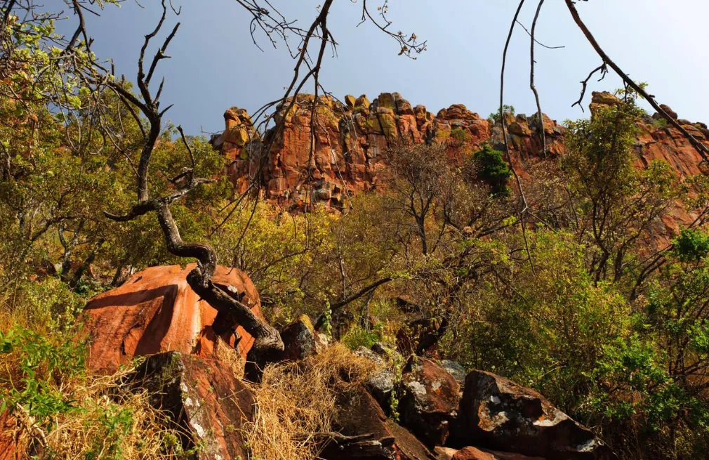 Waterberg Plateau