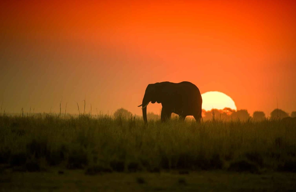 Chobe National Park Sun Rise