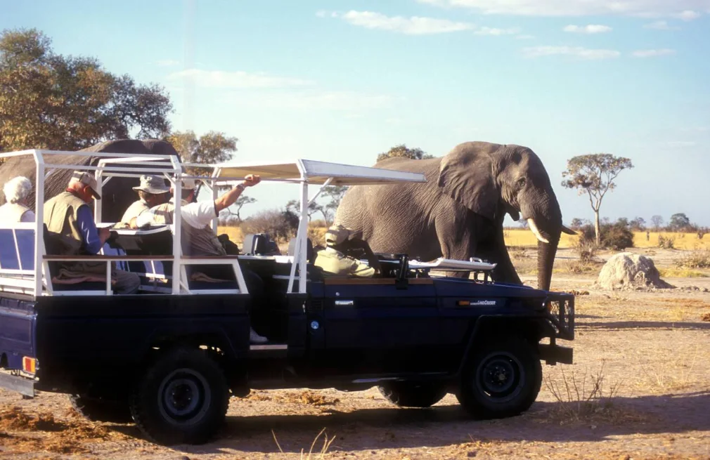 Chobe Game Drive
