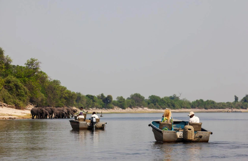 Chobe River Attractions