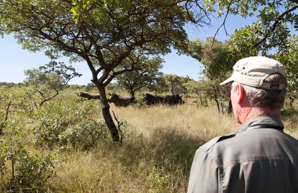 Rhino Tracking