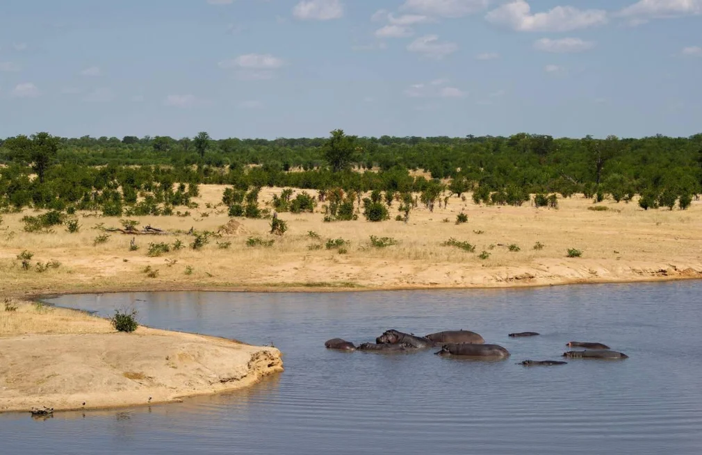 Hwange National Park