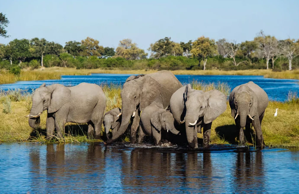Chobe National Park Attractions