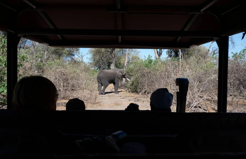 Chobe National Park