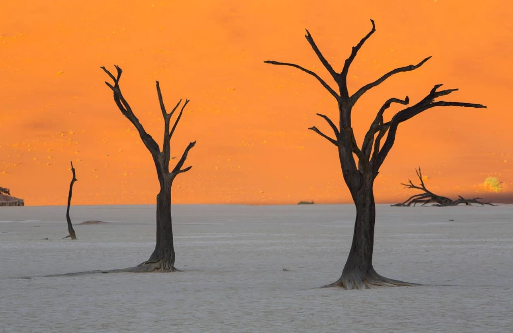Dead Vlei