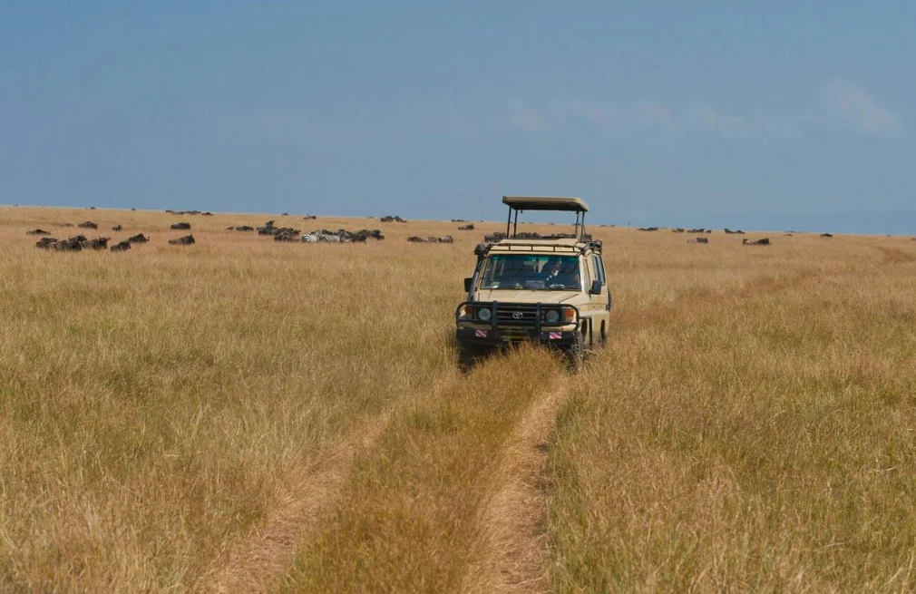 Game Drive