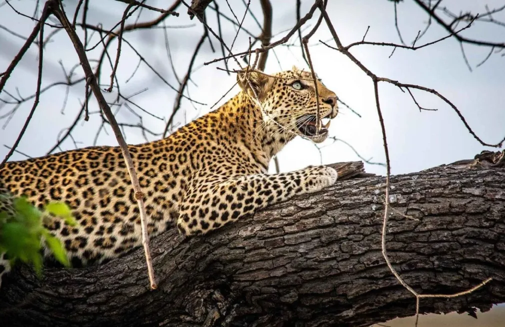 Hwange National Park