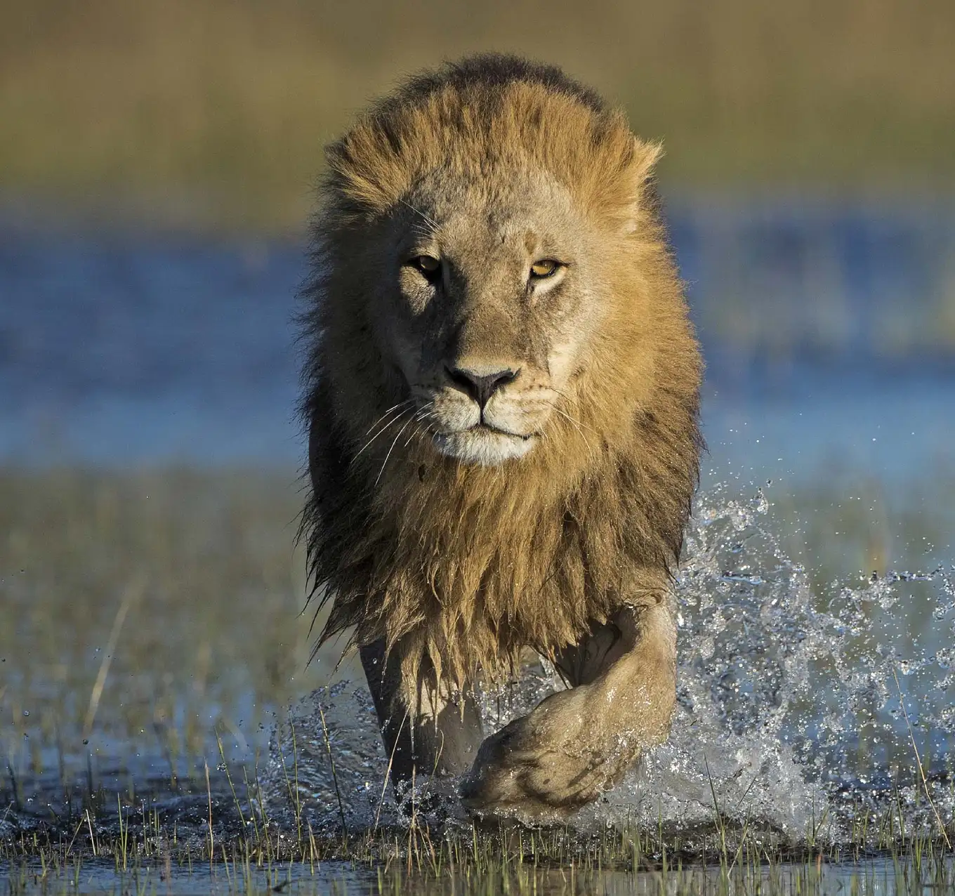 Botswana Attractions