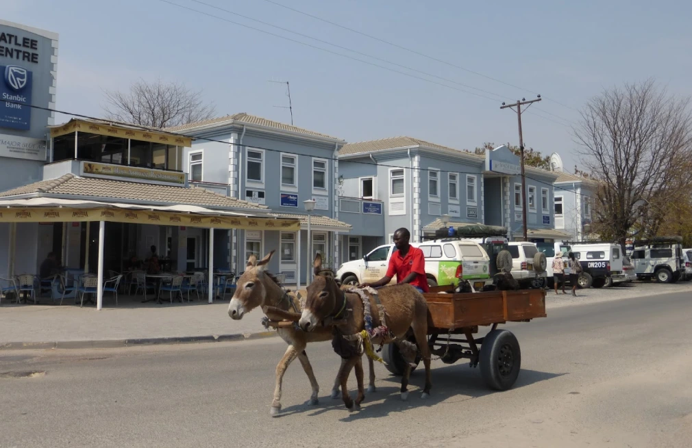 Maun Town