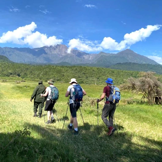 Walking Safari