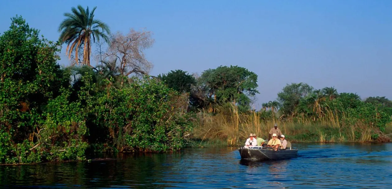 Birding Safaris
