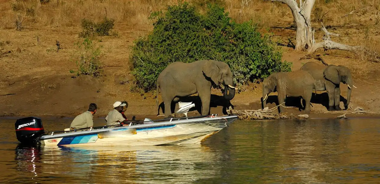 Boat Safaris