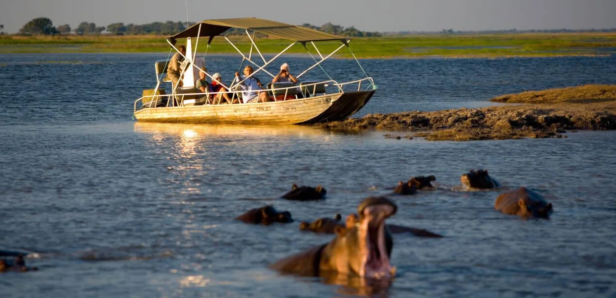 Chobe River Attractions