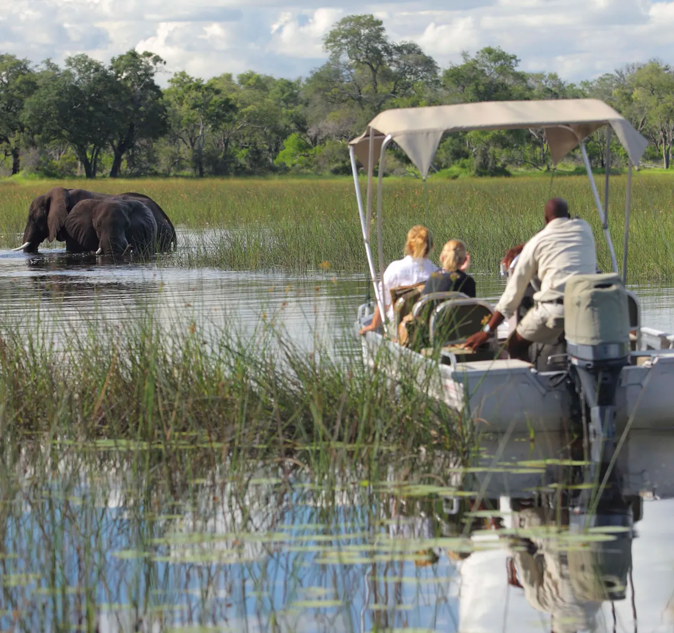 Boat Safari