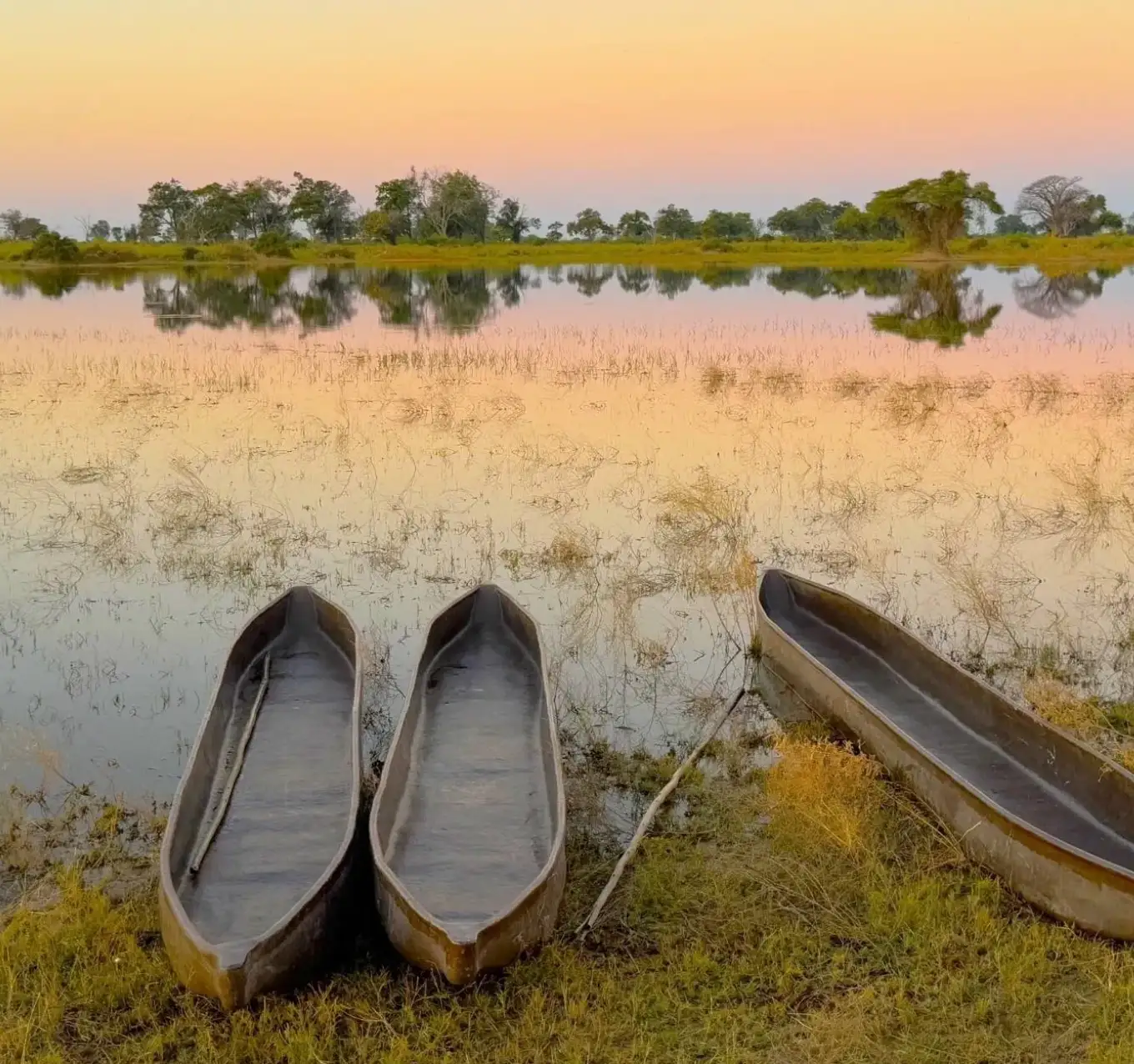 Botswana Activities