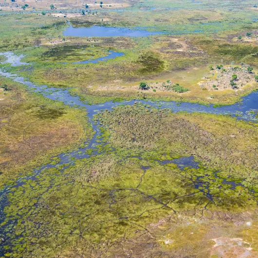 Okavango Delta