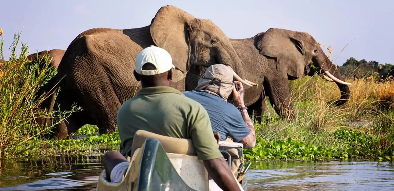 Safari Adventure
