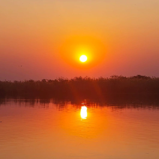 Sunset View