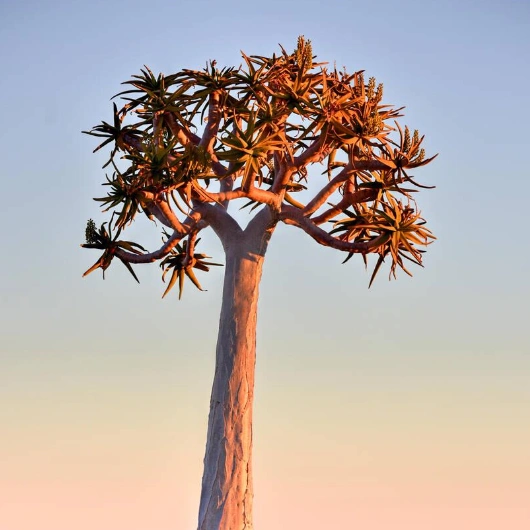Fish River Canyon Attractions