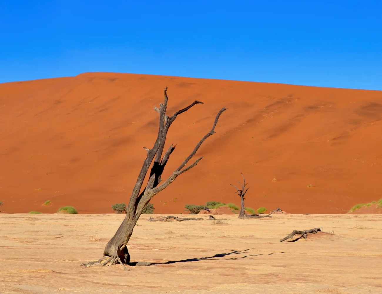 Dunes