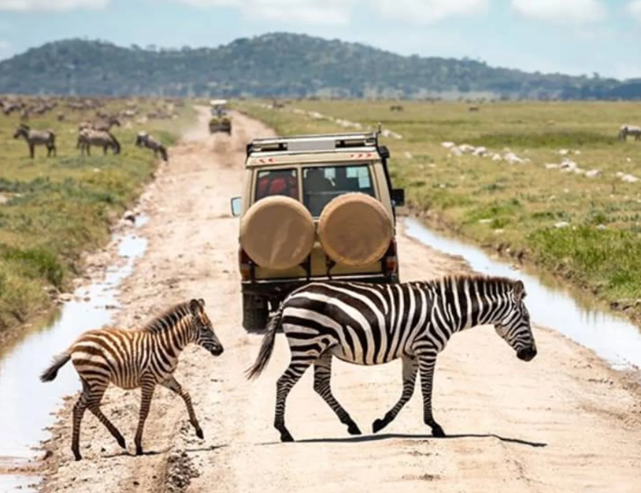 Tanzania Attractions