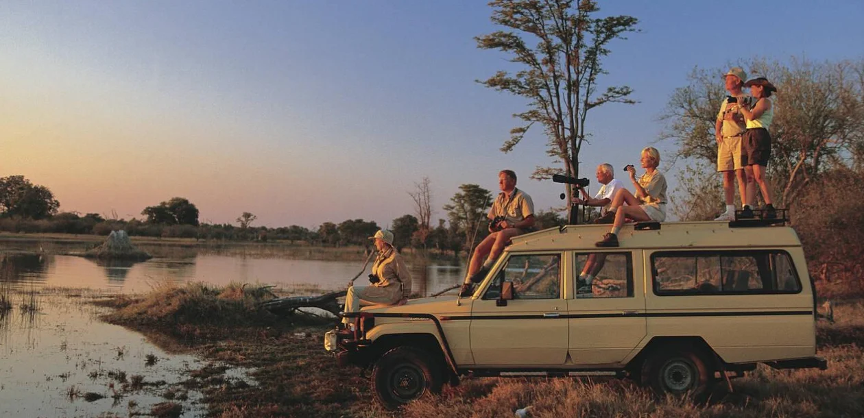 Safari Tours