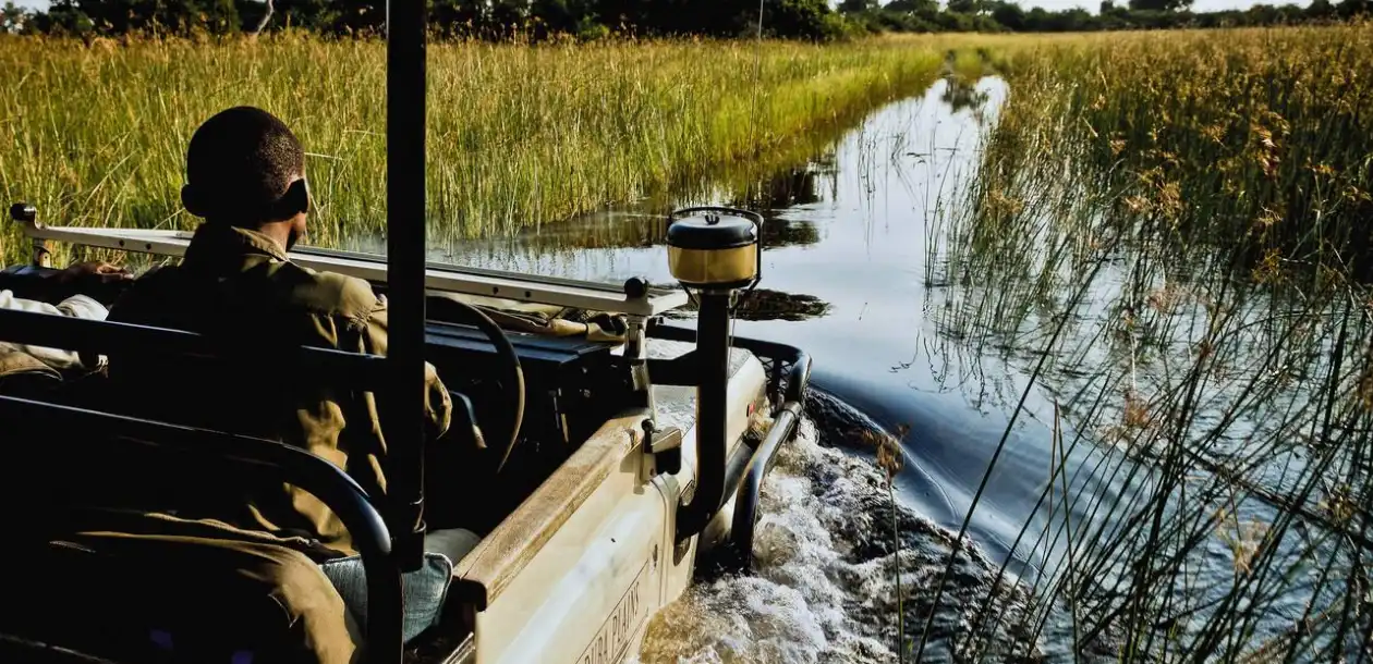 Delta Safaris