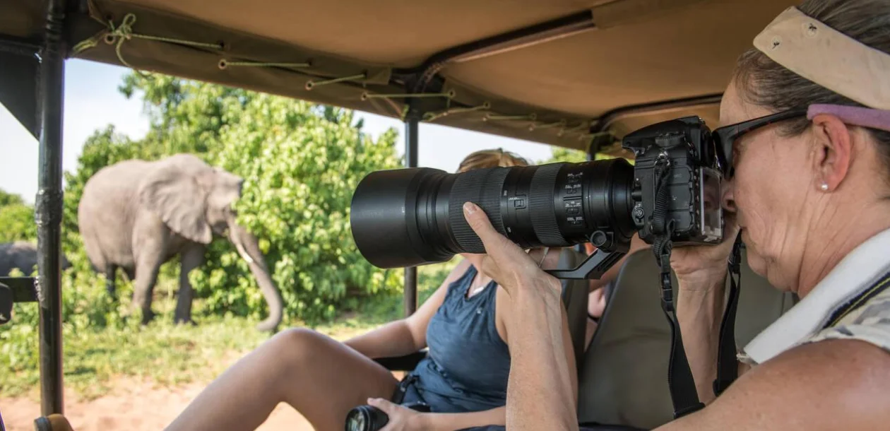 Chobe Game Drive