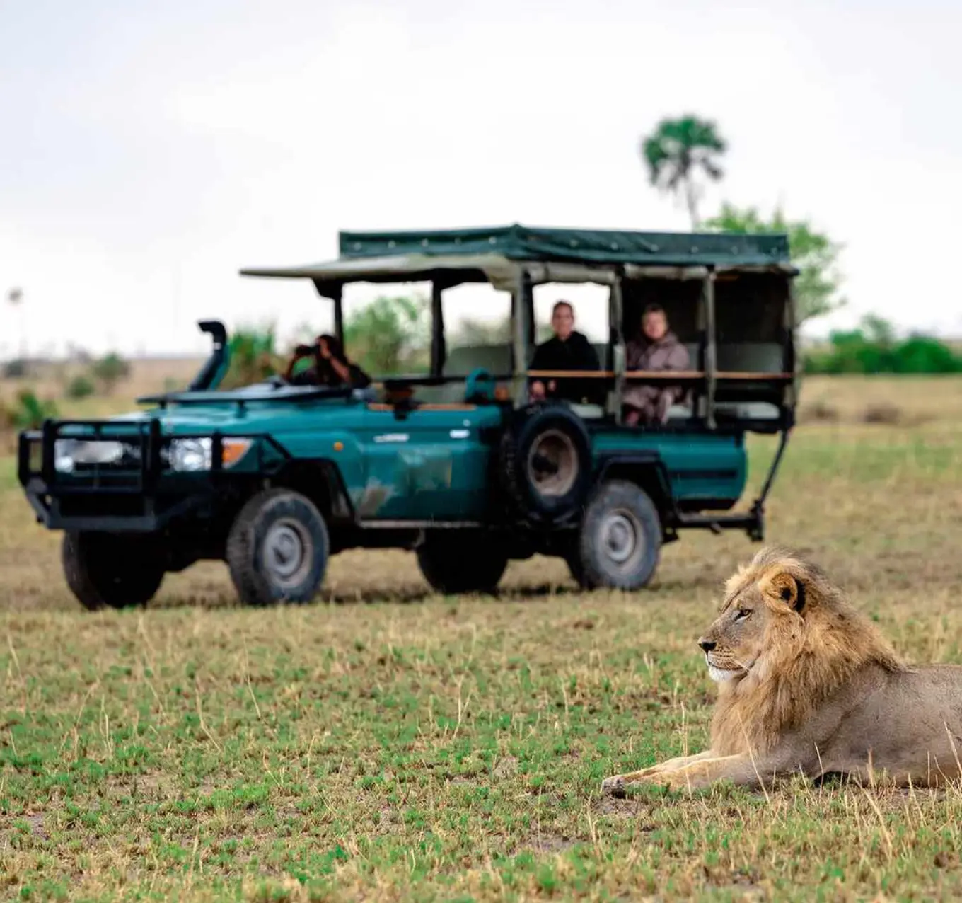 Game Drives