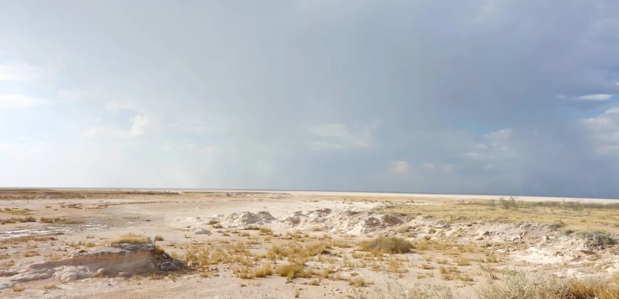 Etosha Plains