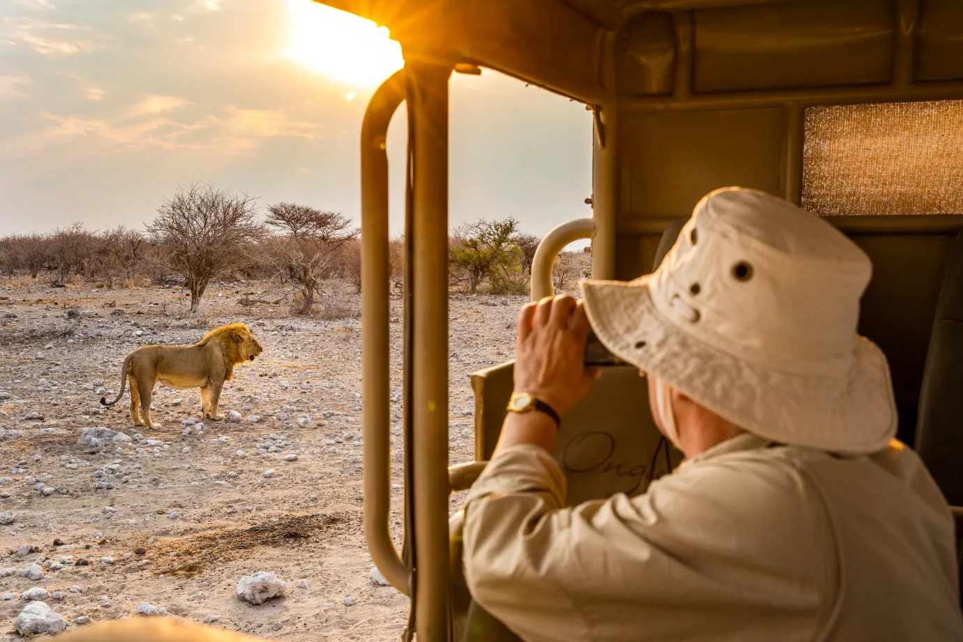 Etosha Game Viewing