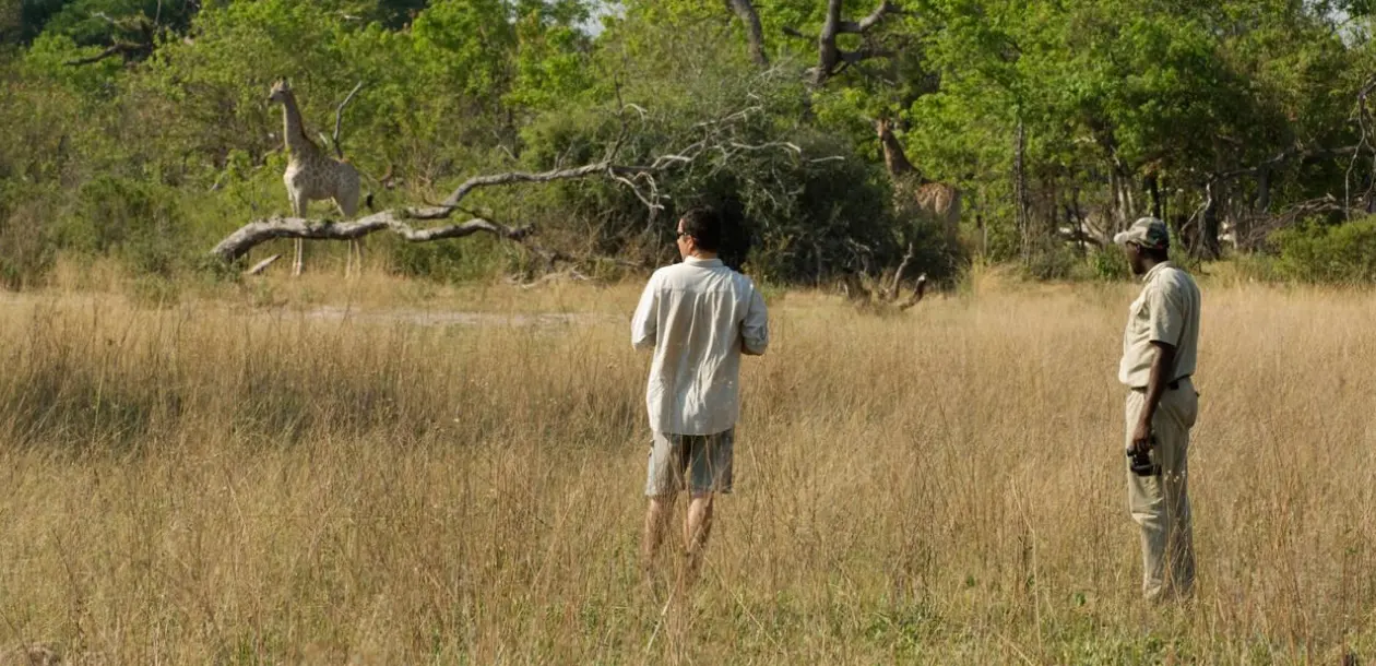 Walking Safaris