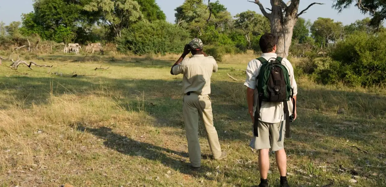 Bush Exploration