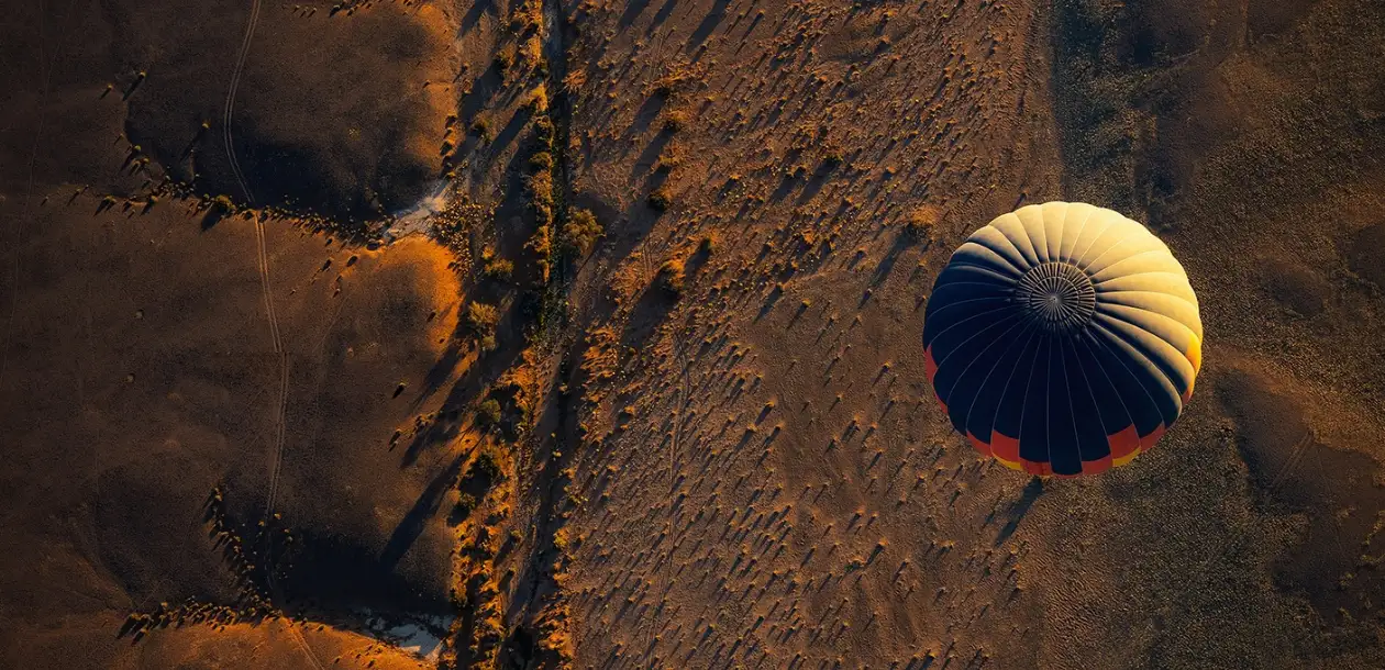 Aerial Safari