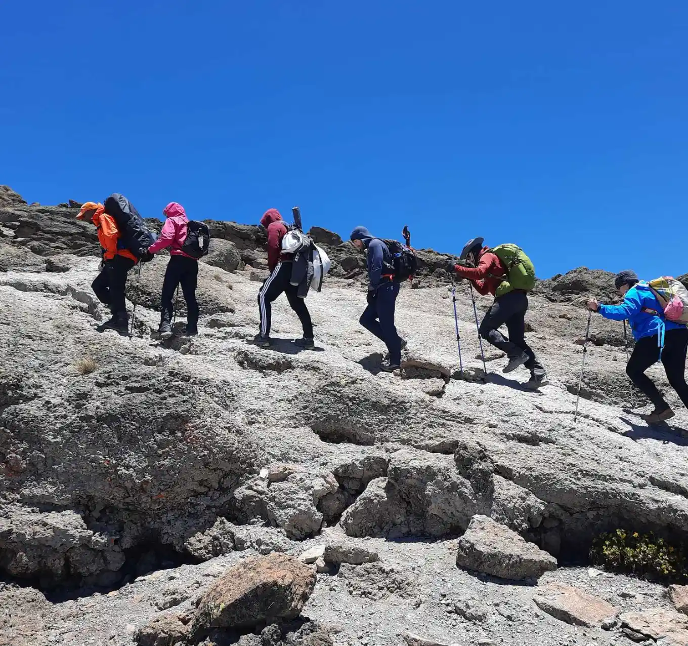 Kilimanjaro Hiking