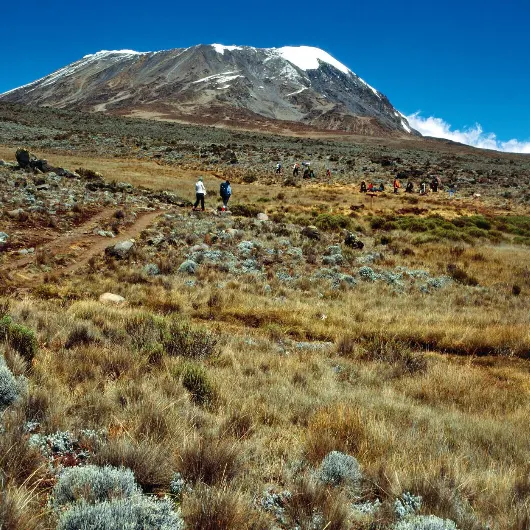 Mount Kilimanjaro