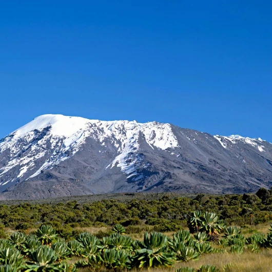 Mount Kilimanjaro
